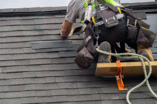 Best Roof Gutter Cleaning  in North Browning, MT
