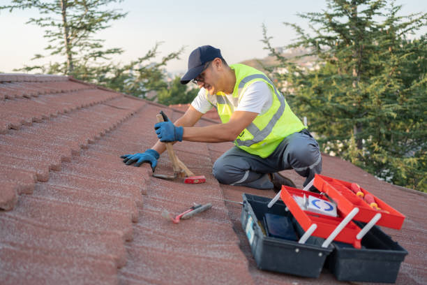 Best Flat Roof Repair Services  in North Browning, MT