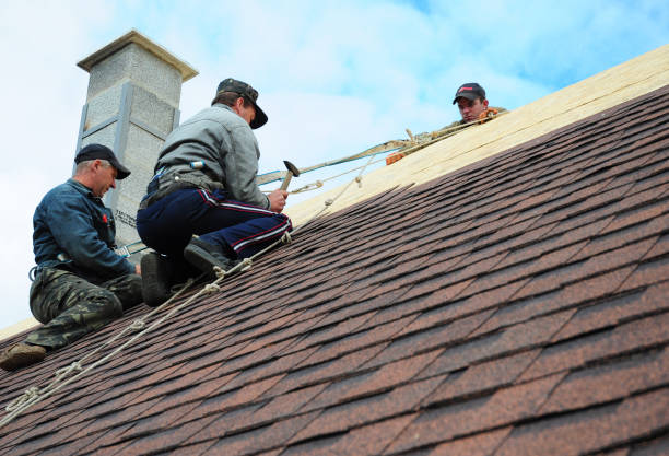 Best Local Roofing Companies  in North Browning, MT