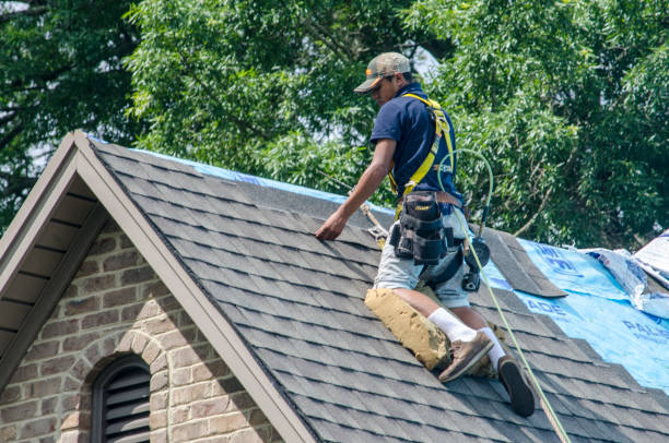 Best Storm Damage Roof Repair  in North Browning, MT